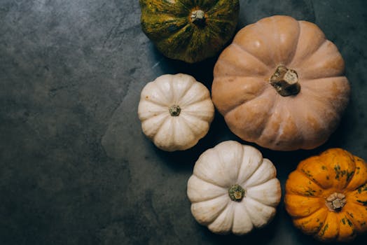 Overhead view of assorted colorful pumpkins on a dark concrete surface, ideal for autumn themes.